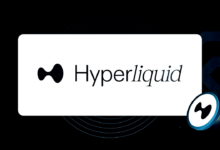 Beginner's Guide for Hyperliquid in crypto 2024