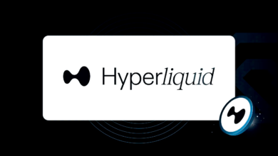 Beginner's Guide for Hyperliquid in crypto 2024